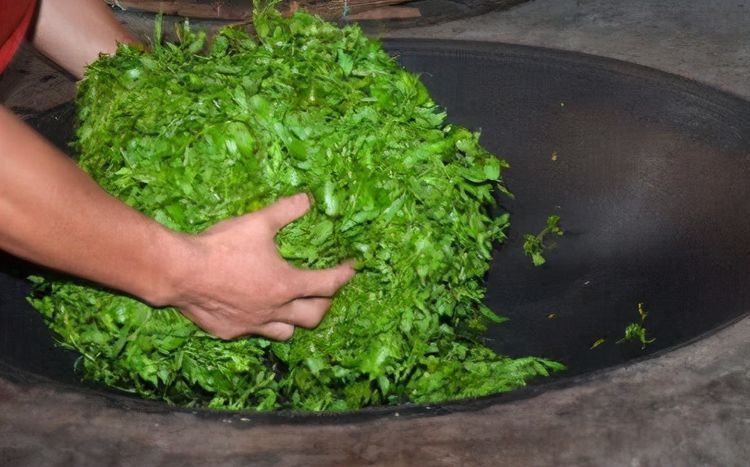 健康长寿|聪明女性坚持吃3种食物,补充营养、延缓衰老,好吃又不贵!