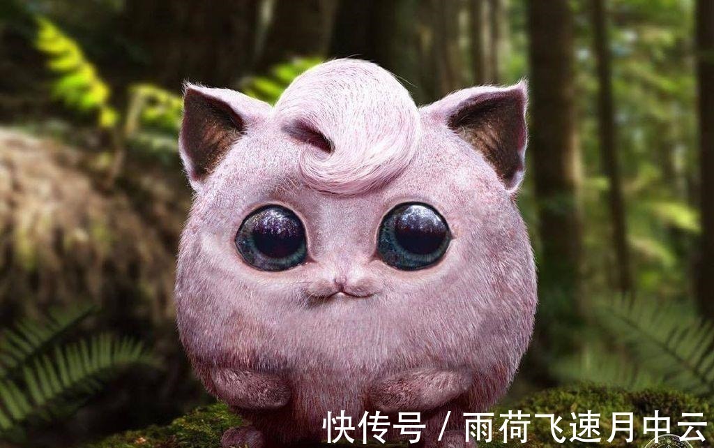 胖丁|精灵宝可梦“真人版”,妙蛙种子神似“蒜头”,还是喷火龙最霸气