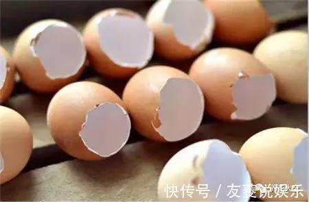 土壤|4种垃圾不会分类别担心，埋在花盆底，叶子绿得直滴油！