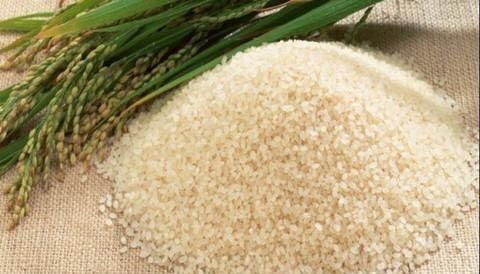 原来保存大米这么简单,学会这4招大米一年都不生虫,简单还实用