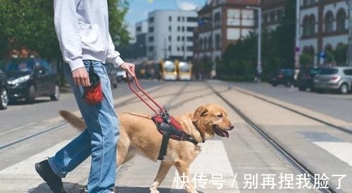 打招呼|9条奇葩冷知识,有趣又好玩,每日增长有趣的知识