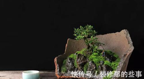 个性|破壶烂瓦做盆,每一个都破出了个性