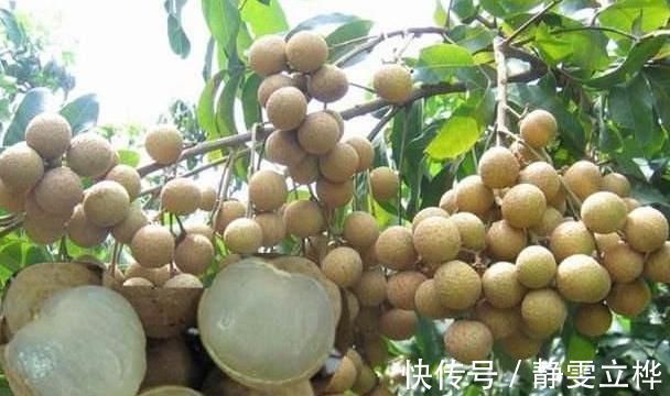 疏通血管|人到中年想长寿,推荐3类食物,养颜抗衰,疏通血管,增强体质