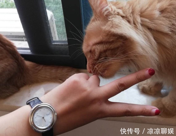 腕表|女王就要有女王范儿,520适合送女孩的腕表汇总