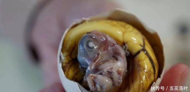  闽南公认的美食，疑惑为啥外地人都这么嫌弃游客这玩意太恶心