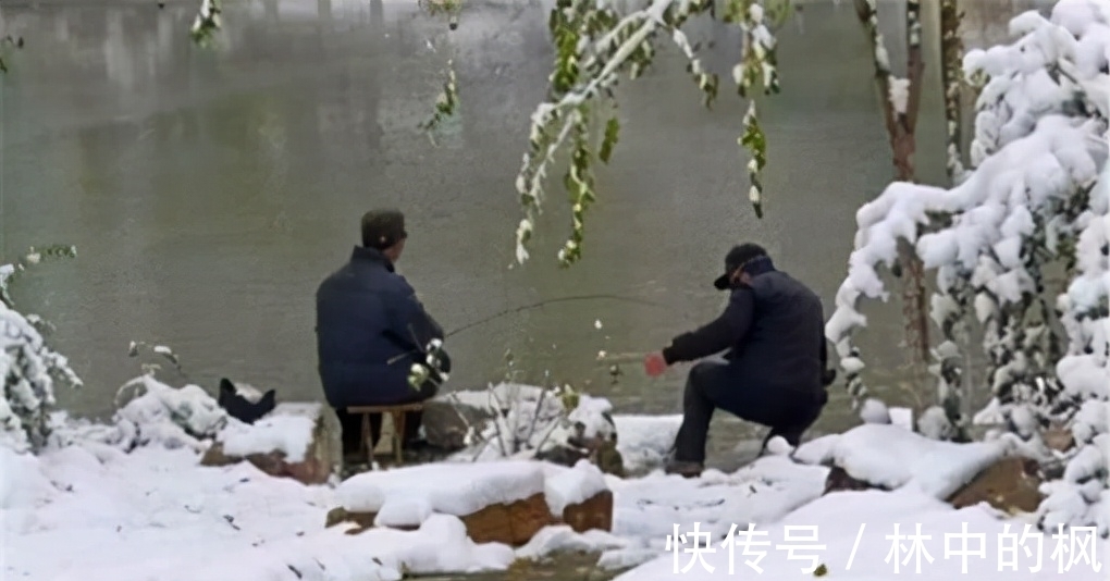 活性|冬季打窝聚鱼慢,发窝迟,不妨试试这三招,鱼口说来就来