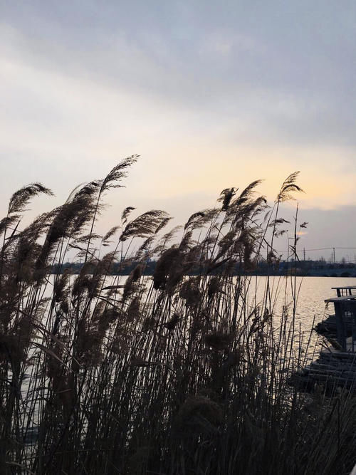 年味|（原创）那湖 那心 那魂