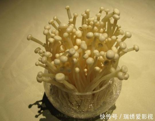 城市人阳台盆栽蔬菜,选啥合适?此4款既能当绿植观赏又能吃