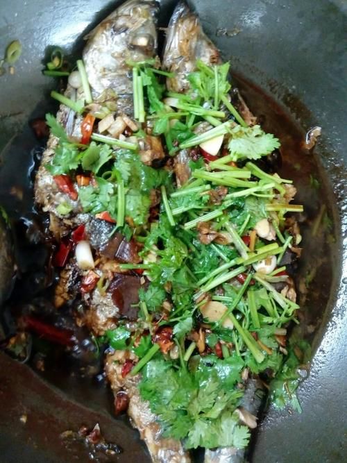 香菜的学名叫什么？很多农村人的叫法才是最正确的！