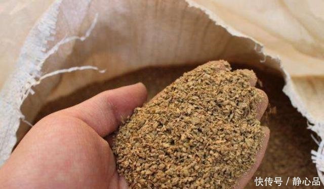 玉米粉|伏天一热,我就只想用这鲤鱼饵,十用九灵,试过的人都拍案叫绝