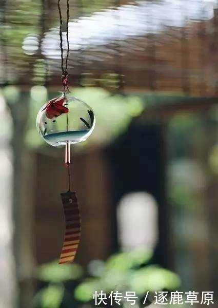 熟悉|这十句最熟悉的古诗词,记住了就是一辈子