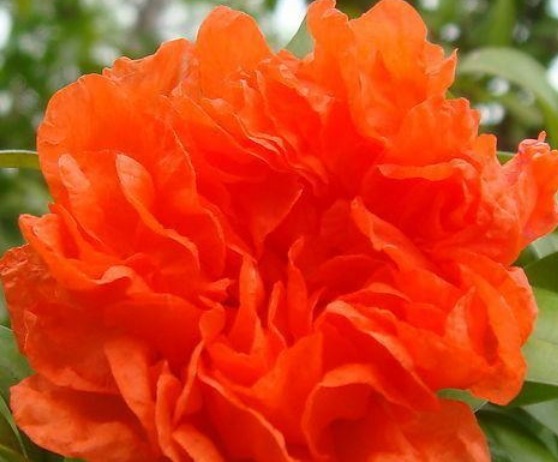 好习惯|“发财”是有原因的,养成以下4个好习惯,不发财都难!