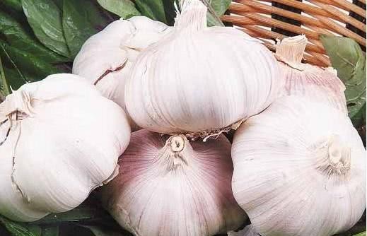 中华|中华厨祖,用做饭理论治国,获得高官厚禄。辅助商汤打败夏桀