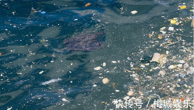 诡异!海滩上“诡异”的墙,无人能在下面待5分钟,设计师太有“心机”