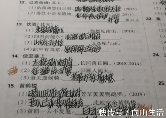 考试中|高中生独创“刺猬”字体,好像容嬷嬷附体,老师看完直呼“扎心”