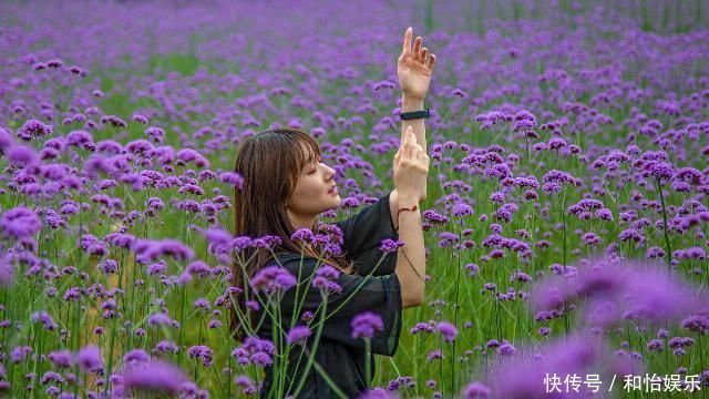 2020重庆旅游人数变化图(2020年重庆旅游大数据报告)(图3) 叠石花谷,重庆旅游新晋网红打卡地,没有