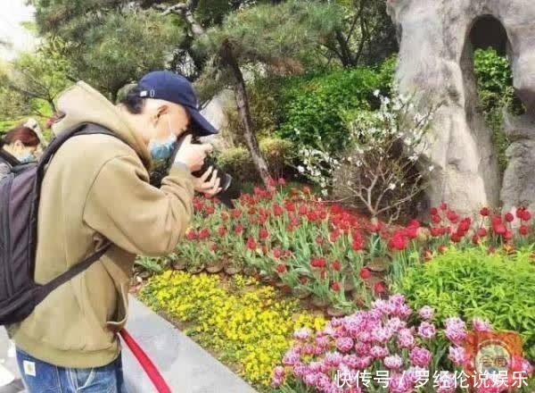 惊艳！郁金香花海、樱花雨，踏青赏花 来“这里”