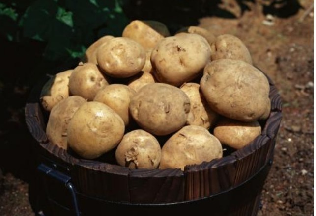 香蕉|女性吃香蕉美容结果吃出“一脸斑”,4个禁忌你要注意