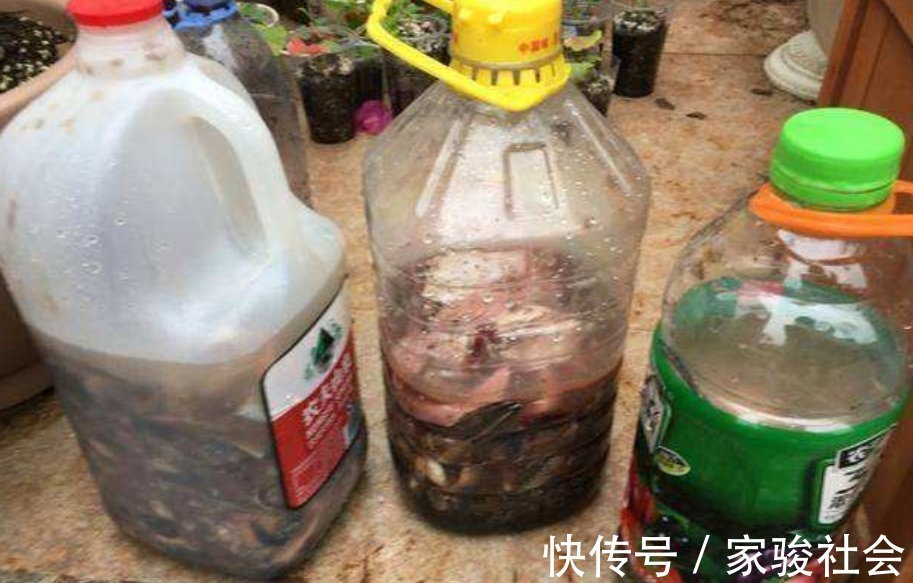 家中养花,常备“2种肥”,养啥花都行,枝叶繁茂,花满盆