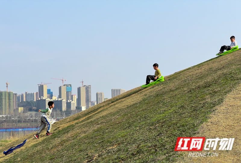 湖南人|壮观！太阳一出来，草地上就“长”满了快发霉的湖南人