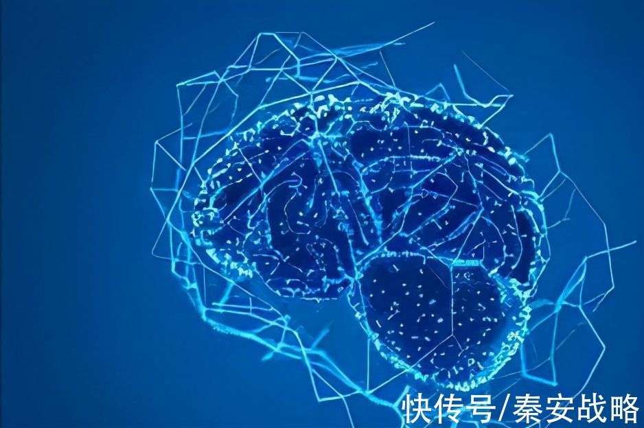 网络空间|网空闲话：心理学在提升网络安全文化中的作用