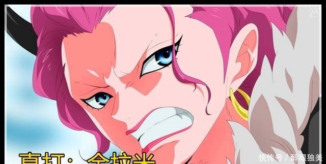 出场|海贼王979话负责凯多日程安排的女秘书出场,是飞鼠果实能力者