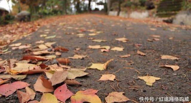 孤寂|苏轼最孤寂的一首词,开篇12个字直指人心,堪称神来之笔