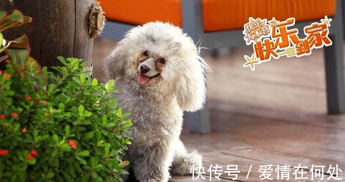 清雨#原创:简诗一首《成长的痛》