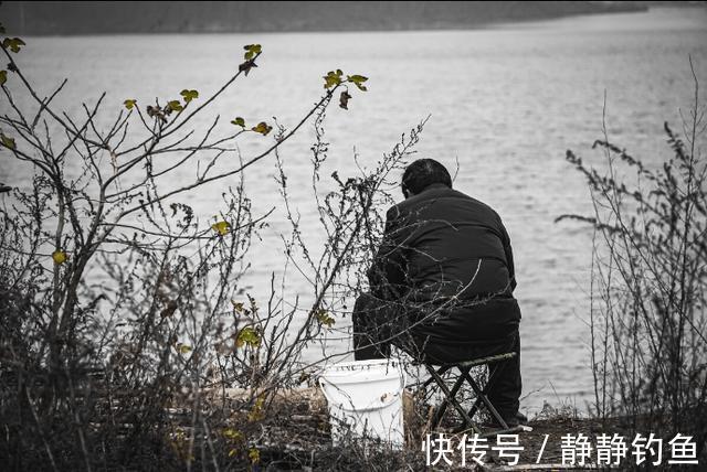 冬钓选饵,岂能随随便便!牢记这三个“勿用”,新手连竿不是事