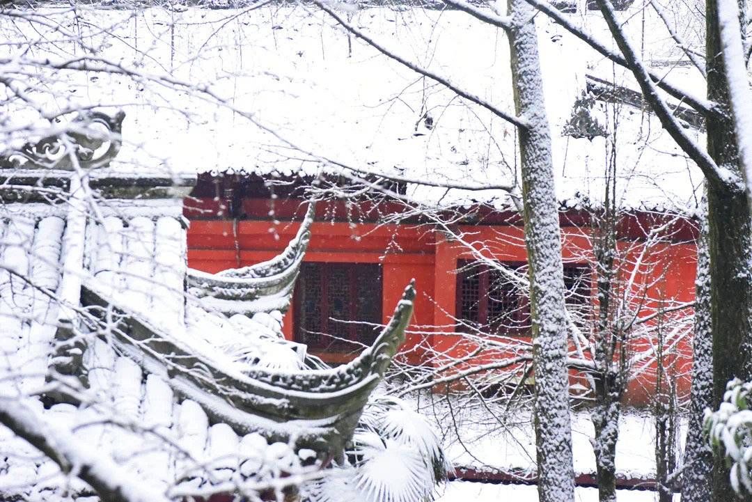 蒙顶山景区|雅安蒙顶山景区迎瑞雪 红墙、白雪、银枝美不胜收丨冬游四川上封面