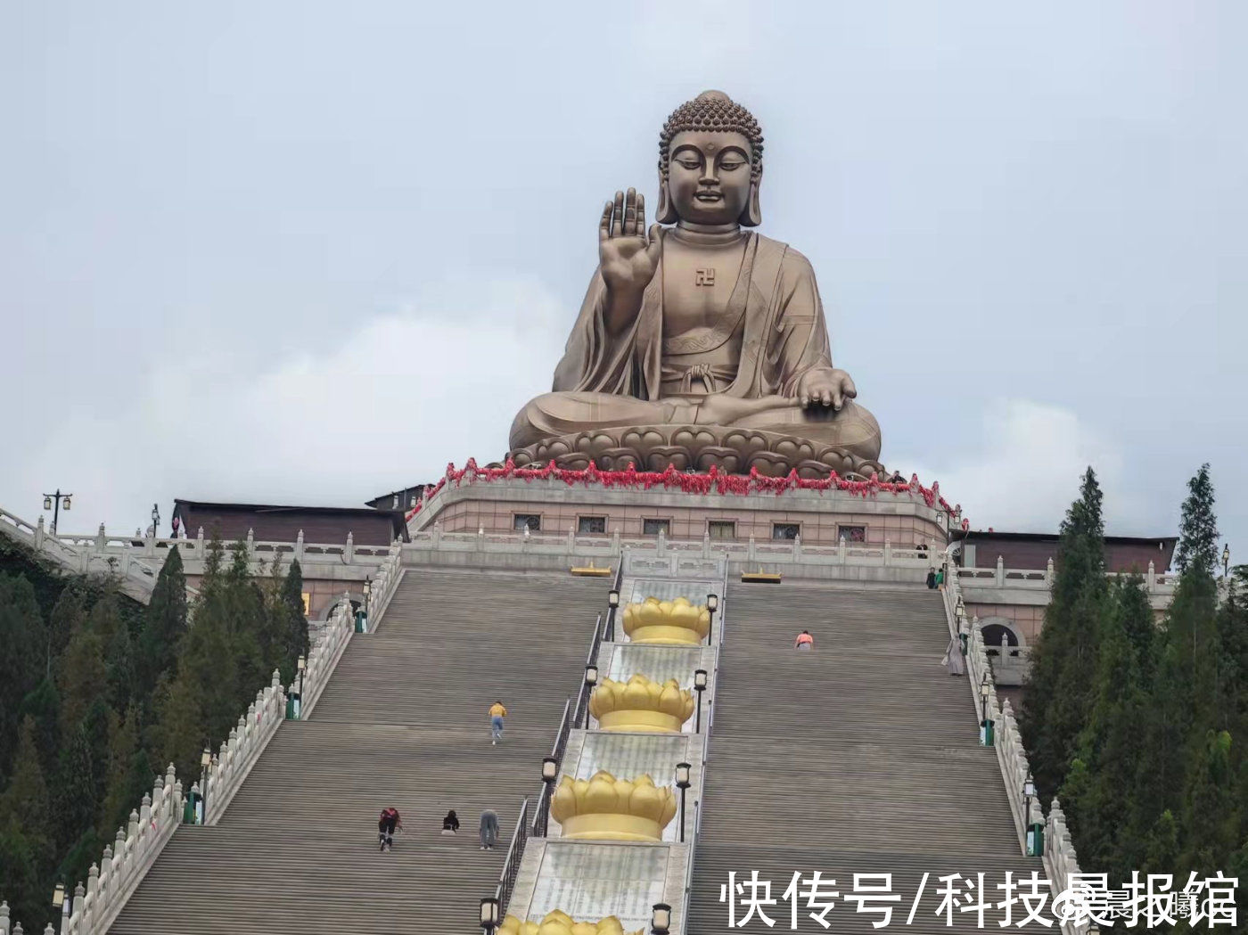 南山大佛|旅游去龙口：去南山旅游景区看一看千年古藤