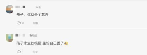 萌娃|爸妈牵手游故宫,留萌娃自己推婴儿车!网友:父母是真爱孩子是意外