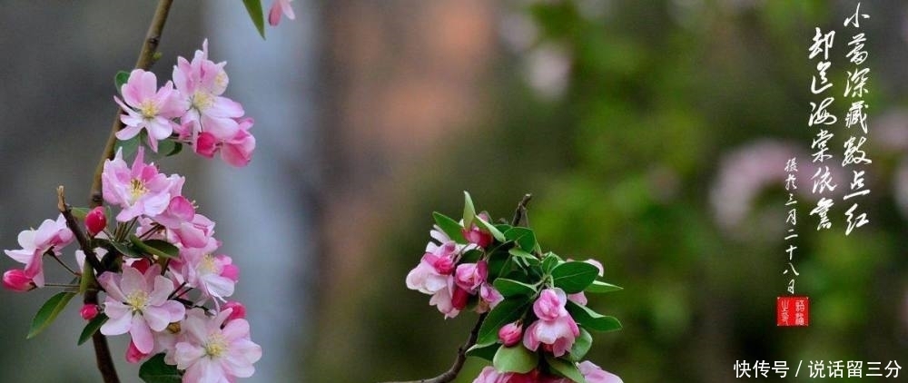 偶遇好诗词:远水接天浮,渺渺扁舟,载得古今多少恨,都付沙鸥!