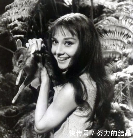 嫣然一笑的宋美龄和遛鸟的林徽因罕见照,英姿飒爽,风姿绰约