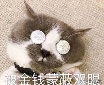 公卫|生三胎，要买什么户型？