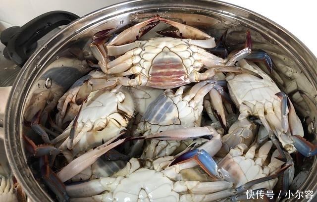 螃蟹|蒸螃蟹时,加葱加姜都不对!多加这2步,螃蟹不流黄不断腿,香