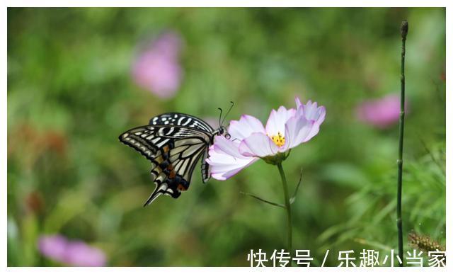 中秋|中秋佳节，跟随着月色游西昌！