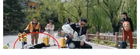 郑恺|李晨、郑恺和杨颖,请你们不要在《跑男》里“混工资”了!