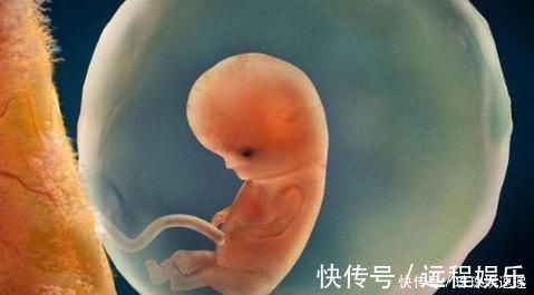 宝宝|孕早期,胎儿3个月都在忙些什么?看完心都被他萌酥了