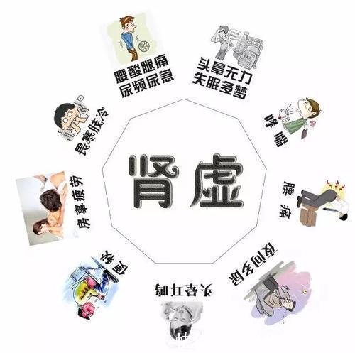 普及|男科医生杨健普及:肾虚有哪些症状、如何区分肾虚种类