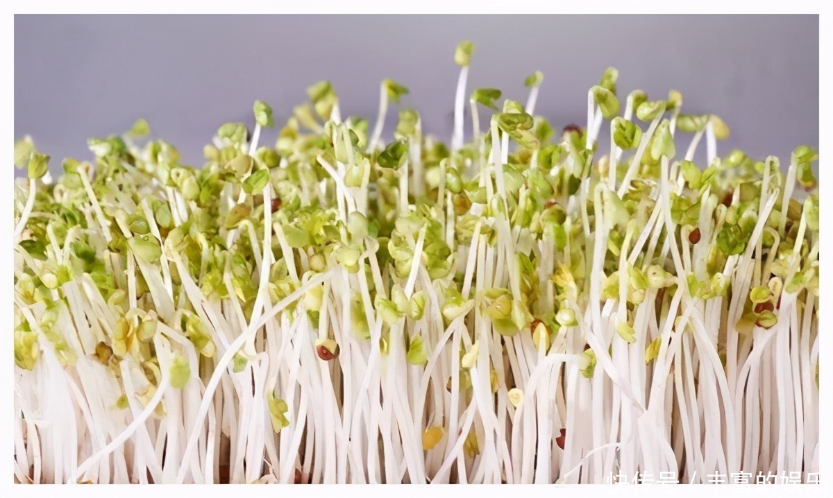 推荐|冬天养生,推荐常吃3种食物,降压减脂,疏通血管,预防血管疾病