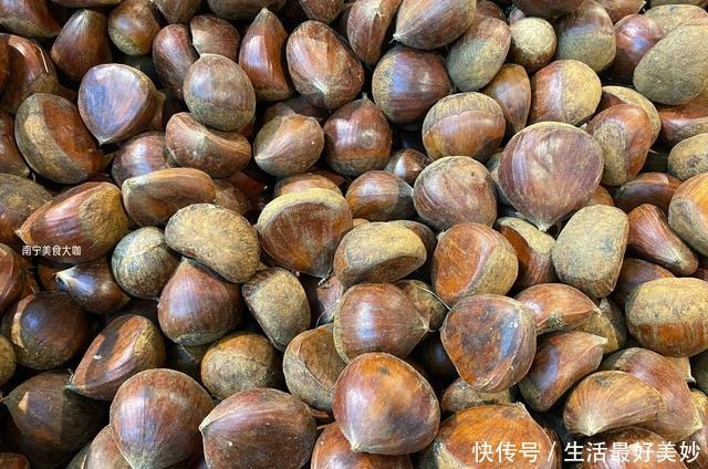 板栗|板栗买圆的还是扁的好教你4个挑选妙招,买到手的个个香甜粉糯