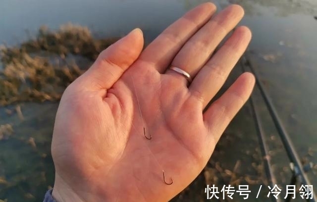 钓鲫鱼却总遇到鲤鱼？春季野钓这样搭配线组，才能大小兼收