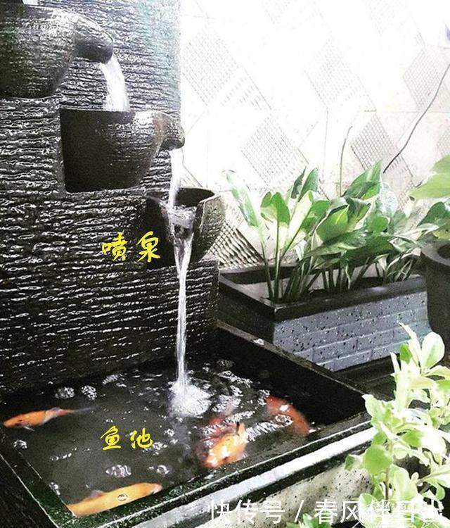 鱼池|若是我家带院子，不会用来种菜，一定要弄个喷泉玻璃鱼池，多亮眼