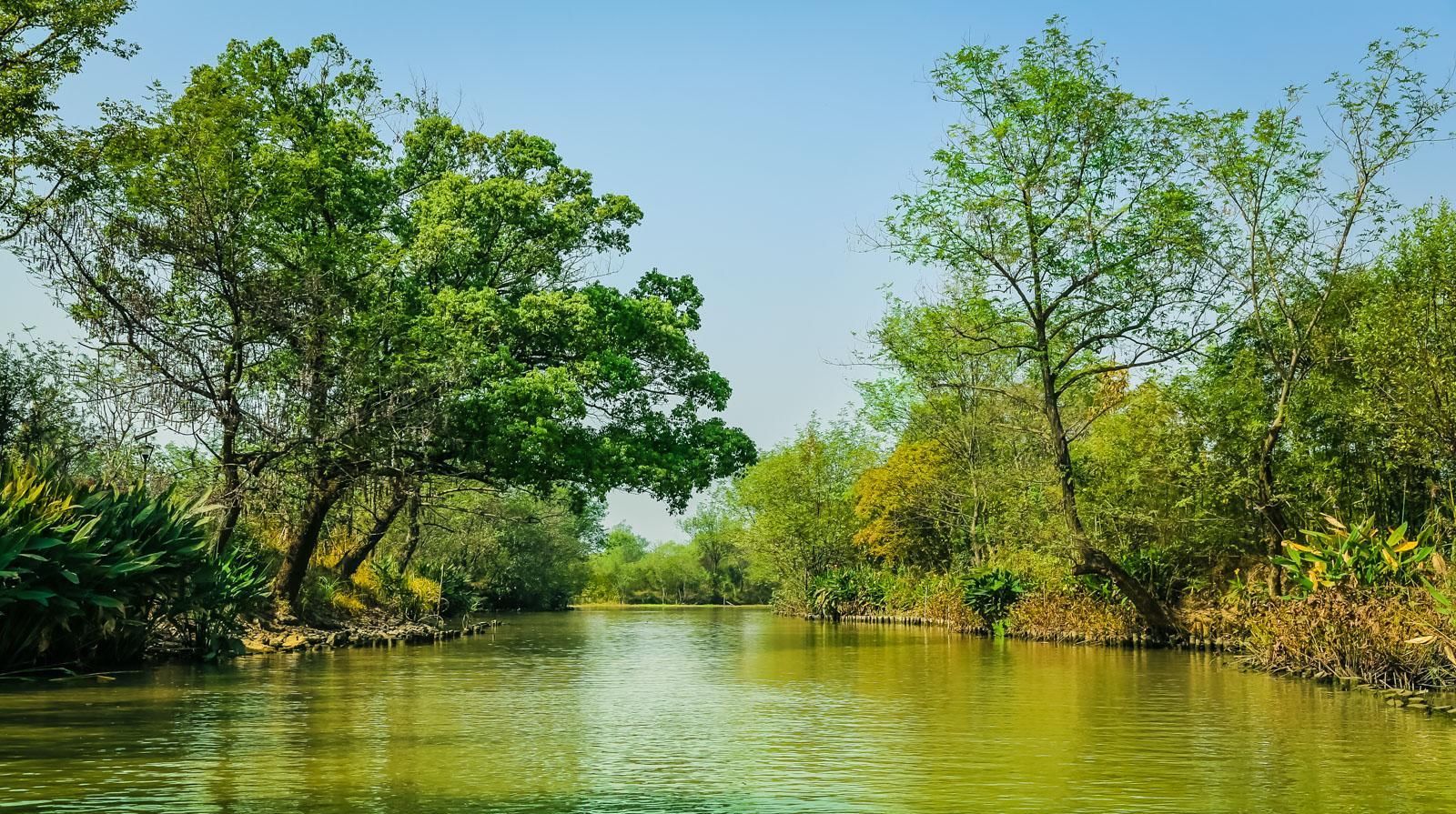 湿地公园|杭州一座低调的5A景区——西溪湿地公园，它位于杭州哪个区呢？