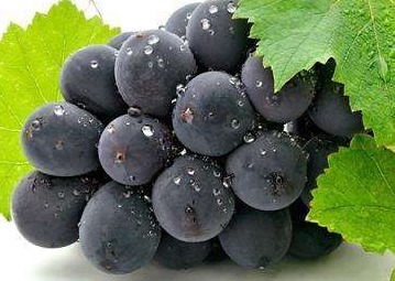 食物|患有高血压的人，不能吃太咸太油的食物外，还有三种水果不能吃