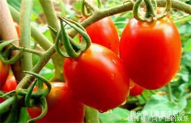 促进身体健康的食物，男女坚持吃，止咳定喘、生津止渴，美容肌肤