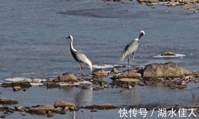 鄱阳湖|中国四大淡水湖现状：鄱阳湖面临消失，基本都呈现水污染