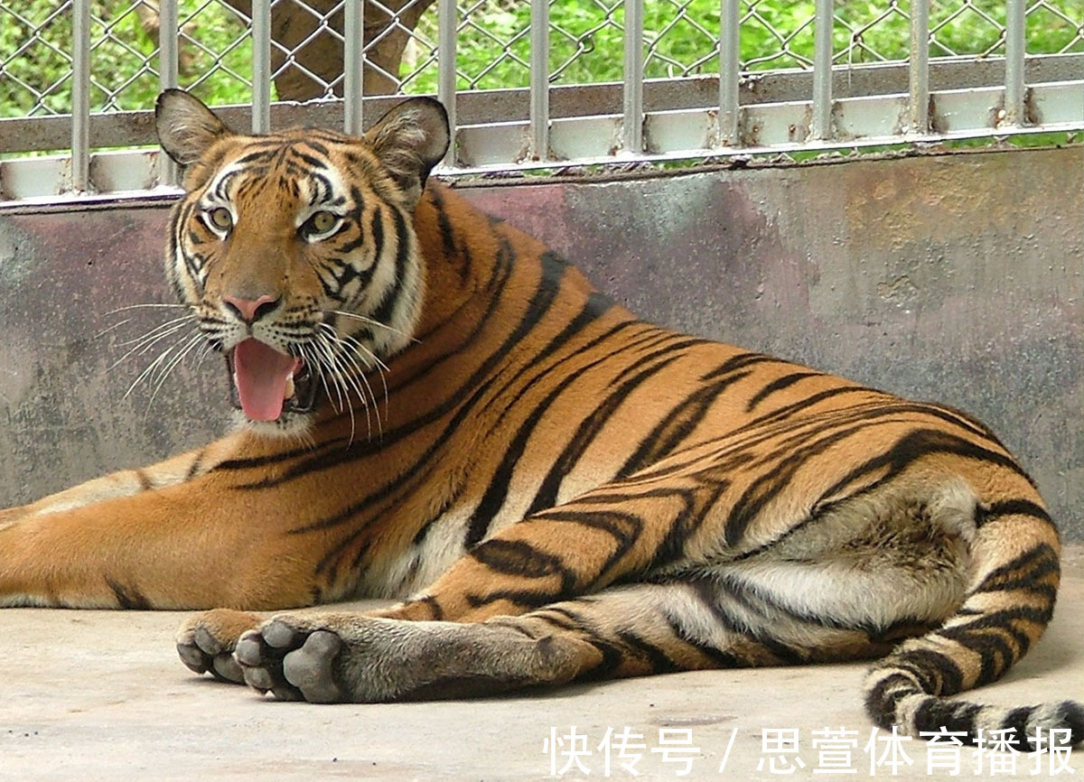 云南百米天坑下，发现消失了百年的生物，上次见它还是在1893年