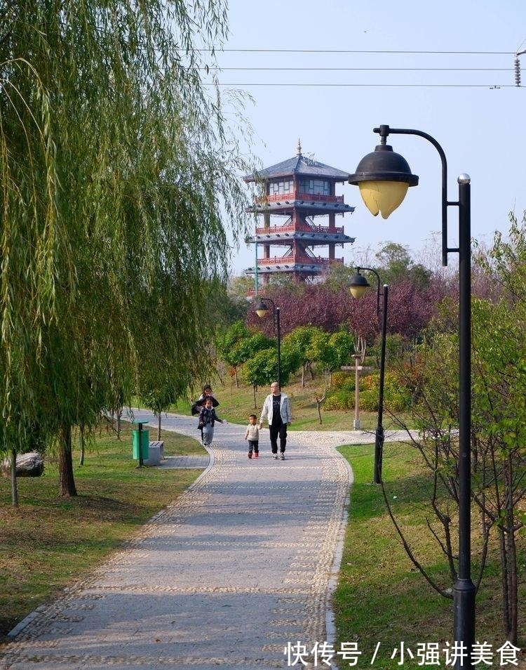 儿童乐园|临颍：黄龙湿地公园染秋色，霜降枫红银杏黄